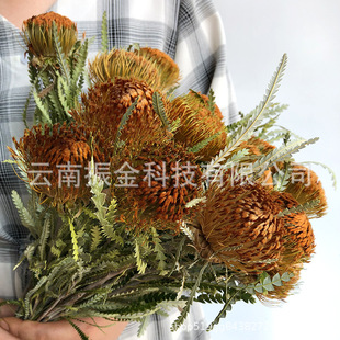 ������ɽï�⡿С��������ᘉ|�߿�ľҾӔ[�O�Ĕz����������