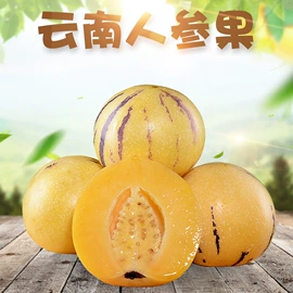 代用/养生茶;苹果;橙