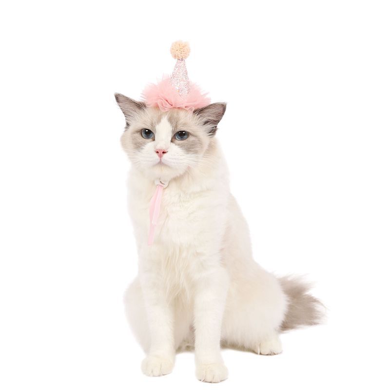 Corona de encaje 3D para mascotas de Amazon, accesorios para fotos de cumpleaños de gatos, perros y conejos, accesorios de dibujos animados