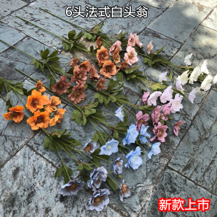 ���Q�¿��c���滨 6�^��ʽ���^�� �϶�����Y�����bٻ����l