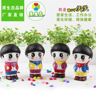 ԭ���B DIY�����մ�ֲ�﹤ˇƷ ���^���޶��⻨�� ������H�Y��