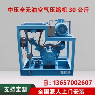 40公斤4MpaPET吹瓶全无油压缩机SW-0.4/40高压无油空压机高压