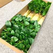 ���涹���~ 3D��ӡ����G�ָ��zƬ���~�ӼҾ���@��c�廨�b��~