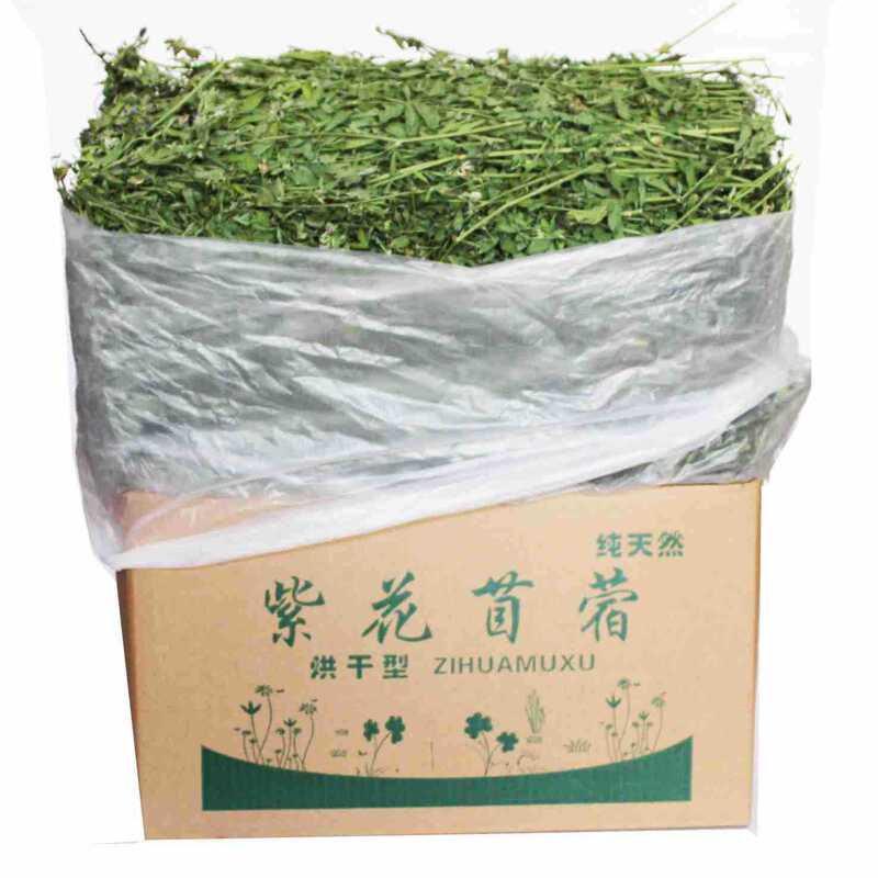 Alfalfa Purple Flower Feed for Young Rabbits, Rabbit Grass, Chinchilla, Guinea Pig Forage, Rabbit Food, Alfalfa Grass for Young Rabbits