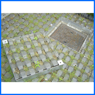 �L���N�� ���N�[�β��P䓾��w ���P䓾��w��800*800