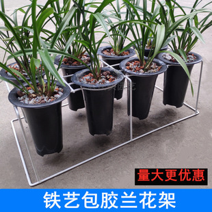 �S�����l�����m�����м��Fˇ���z8�װ�ɫ��ɫ�m����