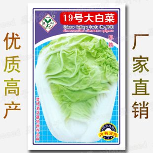 �S��ֱ�N�＾��ײ˷N�������z�ݴ�ײ˿����߮a�ײ������l�˷N��