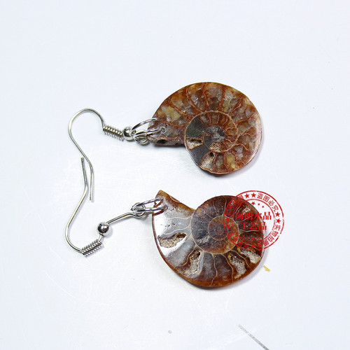 Natural conch fossil earrings, handicrafts, conch earrings, European and American accessories, personalized retro style wholesale, hot selling in foreign trade