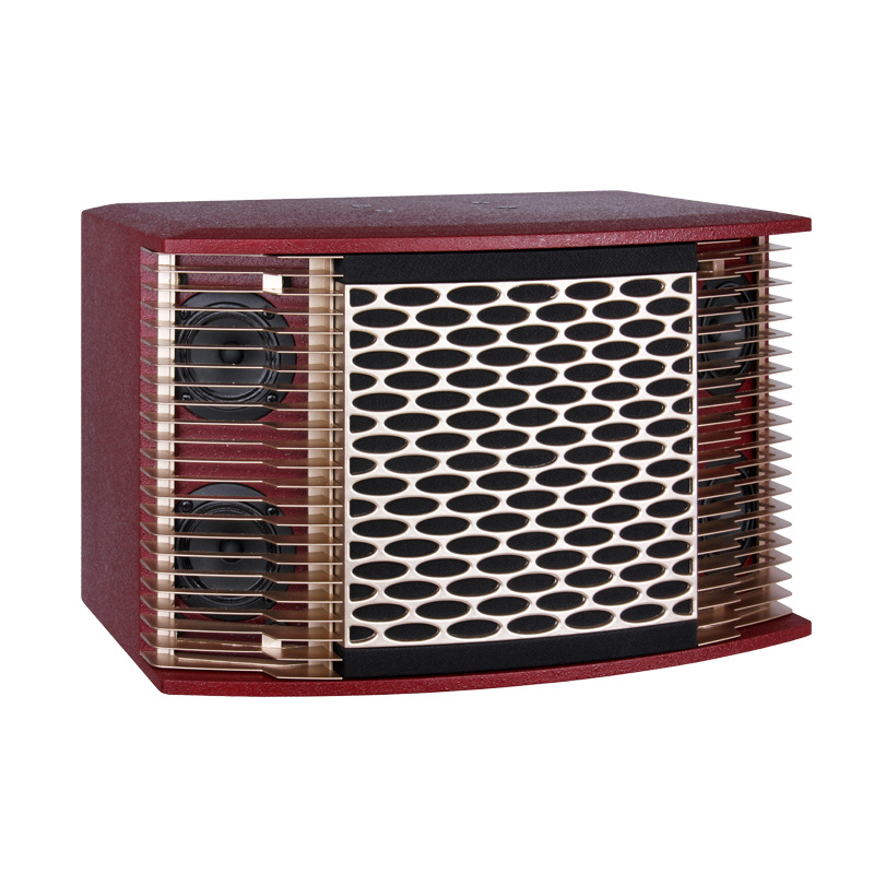 Titular de la tarjeta Altavoz profesional individual de 10 pulgadas multi-función de audio de la familia KTV karaoke casa privada Sala de Conferencias bar