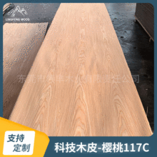 �Ƽ�ľƤ����ɽ�y117C�����b���堝��KT��ȫ�ݼҾ�ľ�y�NƤ