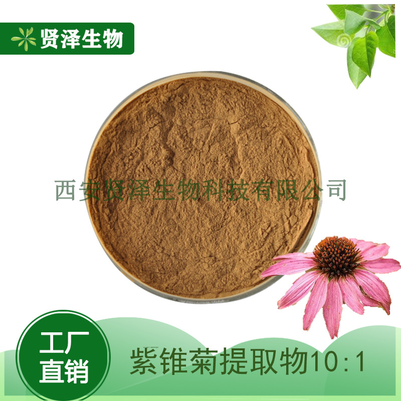 紫锥菊提取物10:1 水溶性比例提取物 多规格 贤泽生物 现货供应
