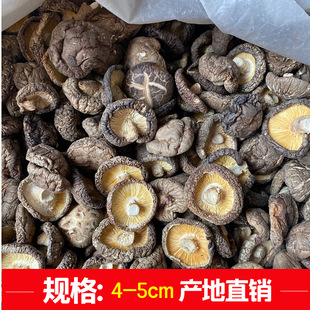 ��؛���{�㹽��؛500g���ɢ�b���l�o�������S�F�u�����㹽��