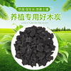 Charcoal flower cultivation orchid flowers and plants natural Plant material Improve soil supplement Potash Charcoal Charcoal residue