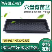 ƽ�P �o��ѿ�˱P �L��������P Ѩ�P ��˱P������ ���l����