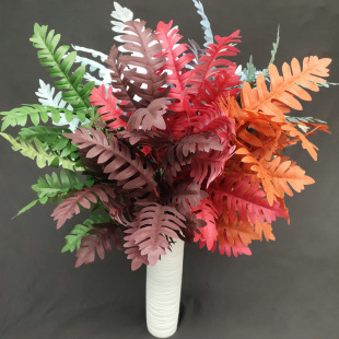 ��c�Ҿ��b����辰�������~�Gֲ3��֦������ֲ����[��