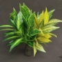 北欧仿真家居植物绿植