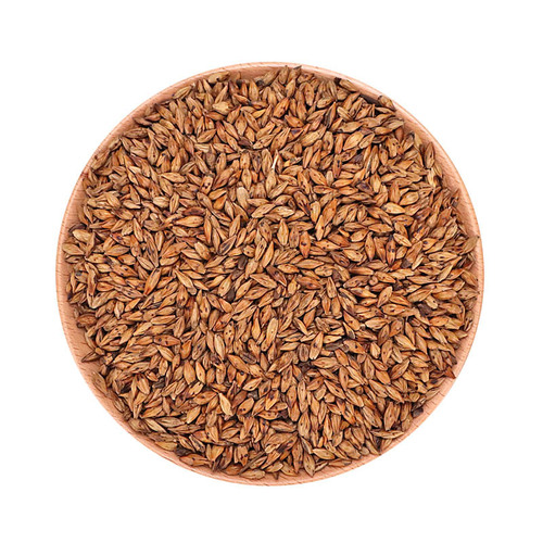 Flower Source Hall Barley Tea, Bulk New Baked Barley Tea for Hotel Use - 500g, Manufacturer, Large Quantity Available