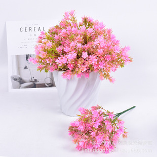 ����ֲ��5���һ��~ ���ϼٻ��Gֲ���Բ�ײ����ƙ������b�Ʒ�[��