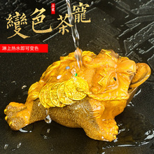 茶宠摆件精品可养茶台茶盘茶具配件茶桌摆设招财金蟾蟾蜍变色宠物