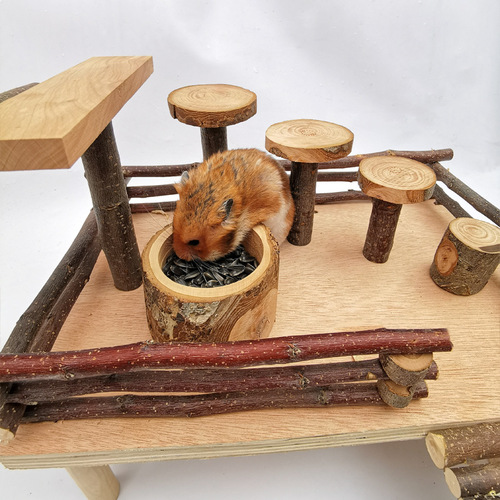 Hamster apple wooden food bowl Golden bear wooden food bowl Pet teething supplies Rat feed basin feeding bowl