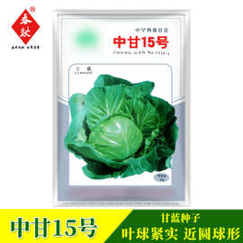 冬春甘蓝种子中甘15春露地包菜种籽25g莲白卷心菜芽苗菜中早熟