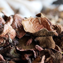 2025年云南特产红乳牛肝菌食用剪脚挑选红乳牛肝500g装菌菇野生菌