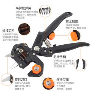 �๦�ܹ���޽����@����ľ�޽���֦�����@ˇ�޻���֦�@�ֹ��߼���