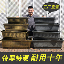 �L���δ�̖�Ӻ����ϻ����ͥ�̨�N�����L�l�Nֲ��ˮ��ɻ���