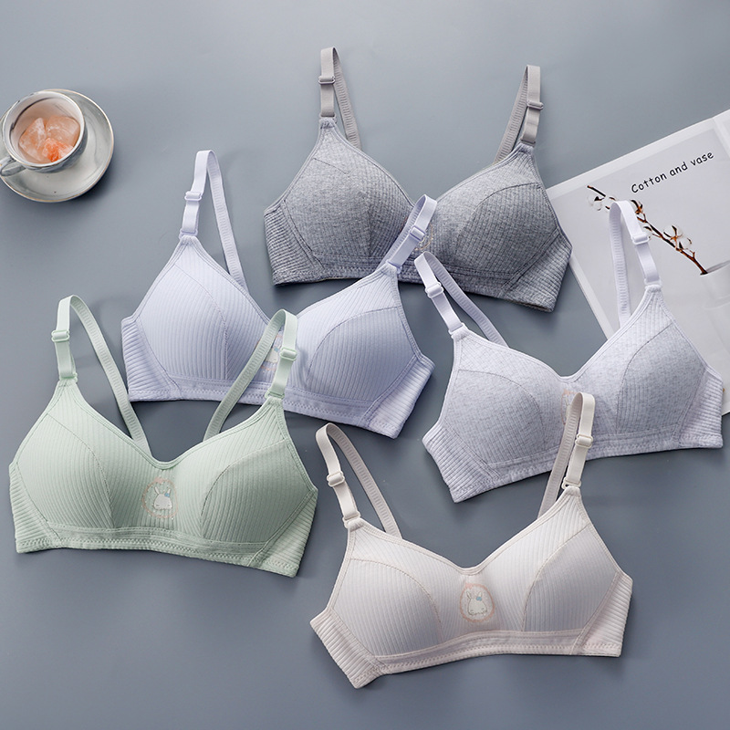 Otoño e Invierno nuevo algodón chica estudiante rayas ropa interior inalámbrica reunidos taza delgada sujetador transpirable cómodo fábrica al por mayor
