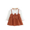 Autumn skirt, children's dress girl's for early age, small princess costume, Korean style, children's clothing, long sleeve