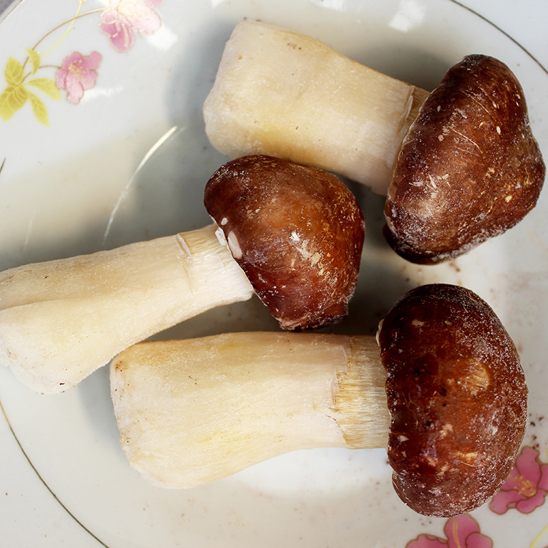 新鲜速冻姬松茸云南野生菌松茸巴西菇产地大货批发绿色食品蘑菇