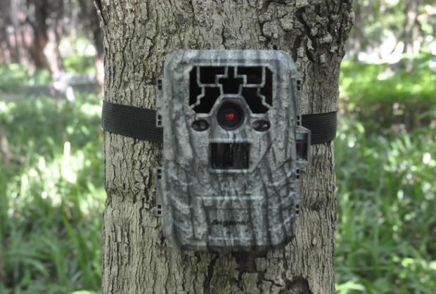 2000万像素高清野生动物红外监测相机红外自动拍摄监测仪DTC-880V