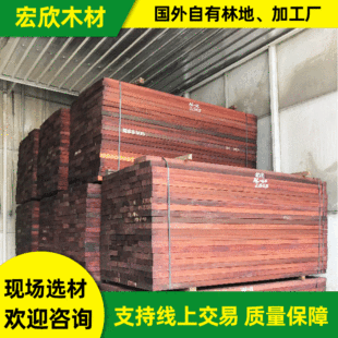 ���l�����t����ľ�� �����t����ľ ���������M�ڼt���� �gӭ��ԃ