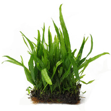 ���~�F�ʹ���ˮ�ݻ��w�݈����l��Բ�ǰ���ݑ���ˮ���~�׹��ˮ��