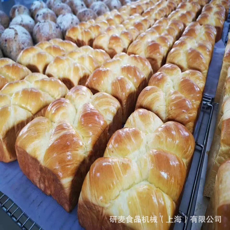 大型烤鸭烤鸡炉 32盘/64盘热风旋转风炉商用电热燃气焗炉大型烤箱