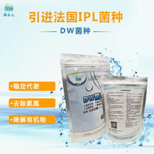 ΢����̎�����N  ���۽����COD��BOD ȥ���׺���֬ DW���N