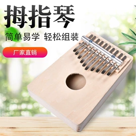 弹拨类乐器;建筑/DIY小屋/拼装玩具;拉弦类乐器