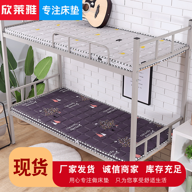 Student Coconut Palm Mattress Dormitory Bunk Bed Cotton Mattress Bedroom Apartment Single Double Bed Wholesale No Odor