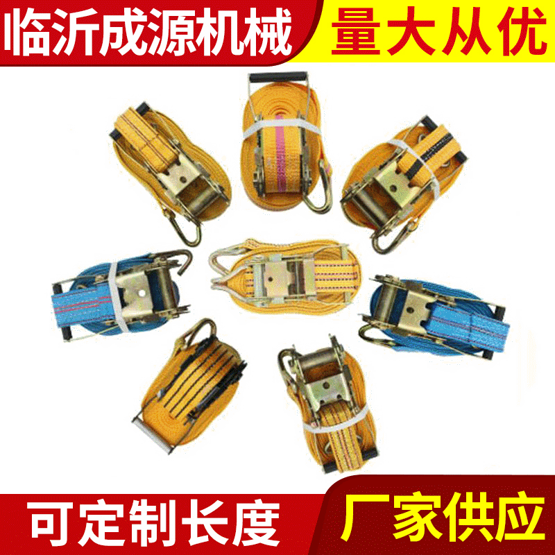拉紧器生产厂家 货车收紧器紧绳器捆绑带 棘轮收紧器厂家批发