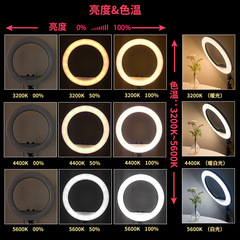 RL18 inch beauty lamp LED internet celebrity live broadcast led professional photography fill light slap light factory wholesale