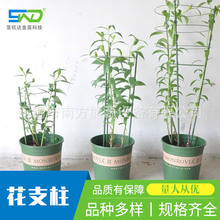 花支架园艺批发室内植物支撑生长爬藤架藤蔓花卉花盆支架花支柱