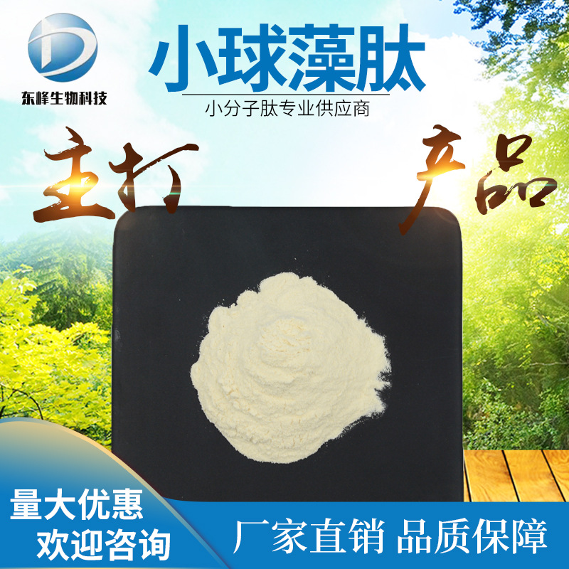 水溶性98%小球藻肽 小球藻蛋白肽源头货源小球藻小分子肽小球藻肽