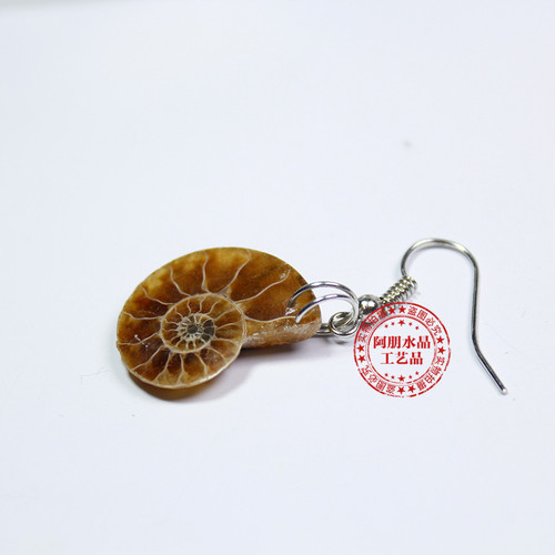 Natural conch fossil earrings, handicrafts, conch earrings, European and American accessories, personalized retro style wholesale, hot selling in foreign trade