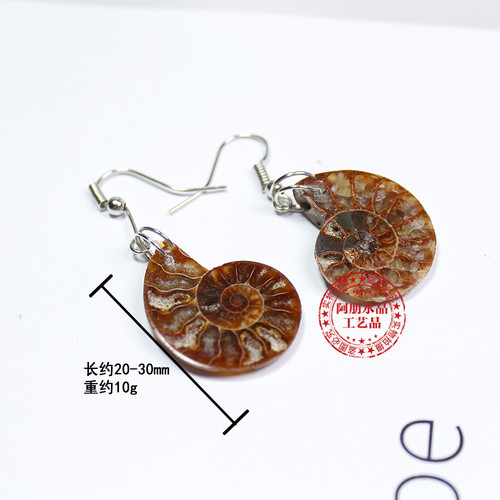 Natural conch fossil earrings, handicrafts, conch earrings, European and American accessories, personalized retro style wholesale, hot selling in foreign trade