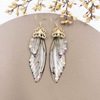 Elite fresh earrings, silver 925 sample, gradient