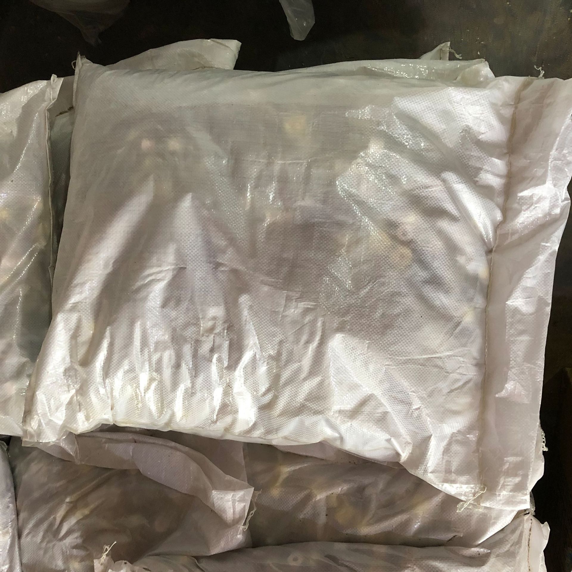 Шизанхе, один 40 кот, не достойные сетчатых мешков