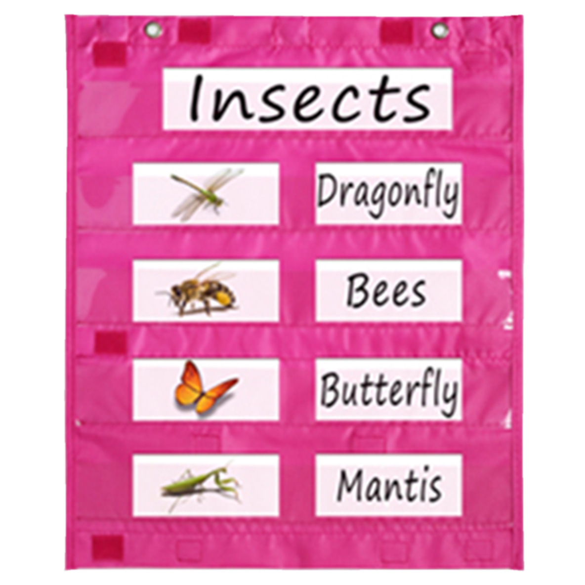 Amazon buena venta suministro pizarra imán Tarjeta de bolsillo magnético bolsillo gráfico cuadrados