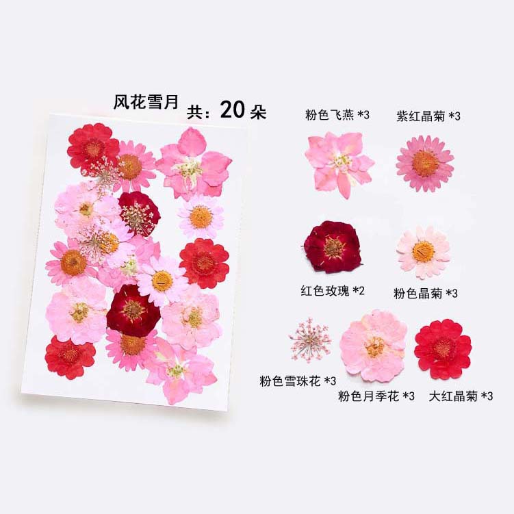 En relieve DIY flor seca paquete de material en relieve epoxi cáscara del teléfono móvil planta espécimen foto pegatina cara planta de maquillaje espécimen