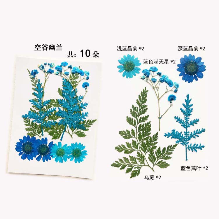 En relieve DIY flor seca paquete de material en relieve epoxi cáscara del teléfono móvil planta espécimen foto pegatina cara planta de maquillaje espécimen