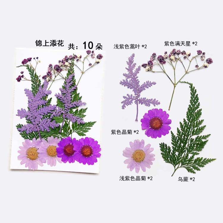En relieve DIY flor seca paquete de material en relieve epoxi cáscara del teléfono móvil planta espécimen foto pegatina cara planta de maquillaje espécimen